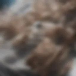 A vivid display of various ginseng roots with unique shapes and textures