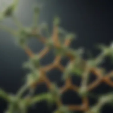 Chemical Structure of Glyphosate A close-up view of glyphosate chemical structure