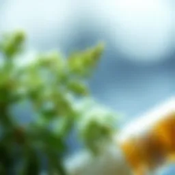 The Efficacy of Oregano Oil in Treating C. difficile Infections Introduction