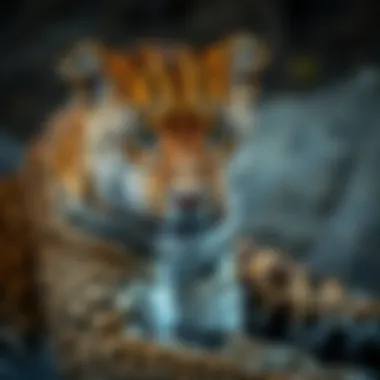 The Endangered Status of Leopards: An In-depth Analysis Introduction The Endangered Status of Leopards: An In-depth Analysis Introduction