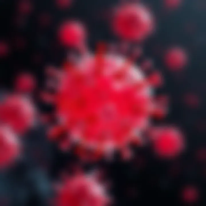 T Cell Functionality and Immunotherapy Implications of T cell functionality in immunotherapy.