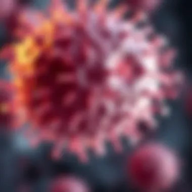 Mechanisms of T Cell Maturation T cell maturation and differentiation mechanisms.