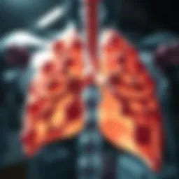 The intricate architecture of the thymus gland.