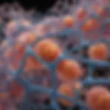 The gm130 Protein: Structure, Function, and Implications in Cellular Processes Introduction
