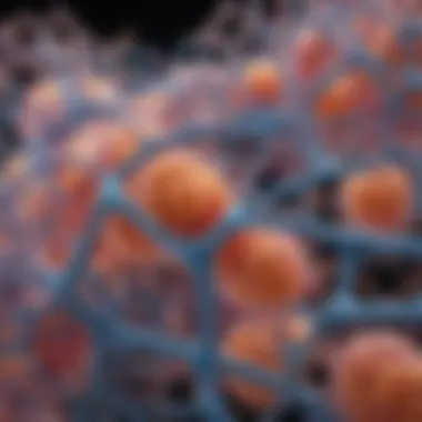 The gm130 Protein: Structure, Function, and Implications in Cellular Processes Introduction The gm130 Protein: Structure, Function, and Implications in Cellular Processes Introduction