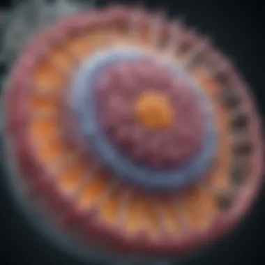 Notable The gm130 Protein: Structure, Function, and Implications in Cellular Processes Notable The gm130 Protein: Structure, Function, and Implications in Cellular Processes
