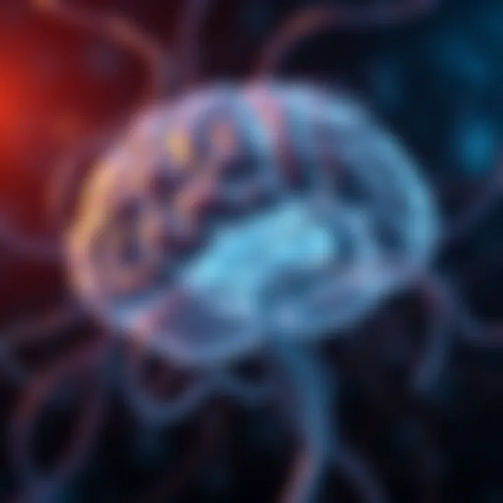 Neurological Mechanisms in ADHD Neurological pathways related to memory in ADHD