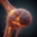 Cellular interaction during lung cancer metastasis to bone