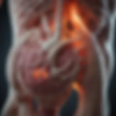 Diagnostic imaging techniques for bone metastasis