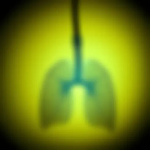 The Interrelation Between COPD and Mental Health Introduction