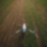 Aerial view of a technologically advanced farm with drone surveying crops.