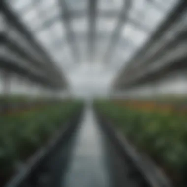 High-tech greenhouse featuring automated systems for plant growth.