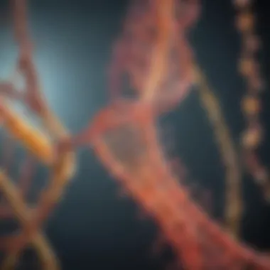 Protein Synthesis and Its Pathways Diagram illustrating protein synthesis pathways