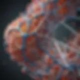 Structural representation of protein folding