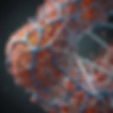 Understanding Protein Folding and Structure Structural representation of protein folding