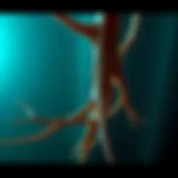 The Mechanisms and Implications of Dorsal Root Rhizotomy Introduction