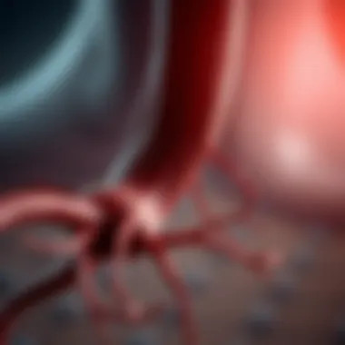 The Mechanisms and Implications of Dorsal Root Rhizotomy Summary The Mechanisms and Implications of Dorsal Root Rhizotomy Summary