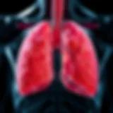 The Role and Structure of Mesothelium in the Pleura Introduction