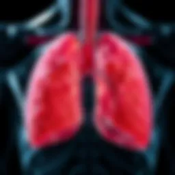 The Role and Structure of Mesothelium in the Pleura Introduction