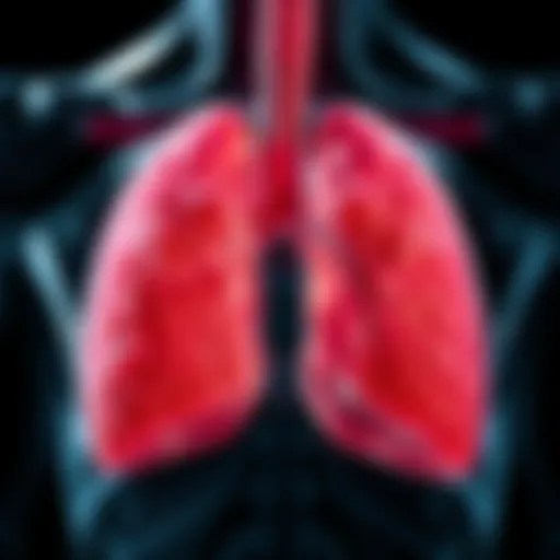 The Role and Structure of Mesothelium in the Pleura Introduction