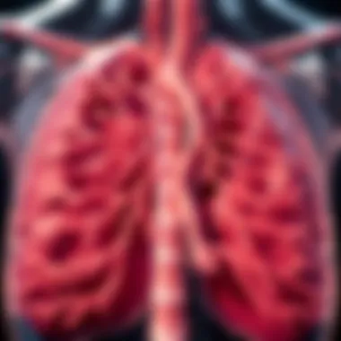 Notable The Role and Structure of Mesothelium in the Pleura Notable The Role and Structure of Mesothelium in the Pleura