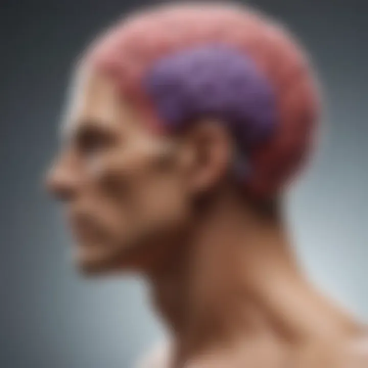 Diagram illustrating the impact of BDNF on neuroplasticity in the brain