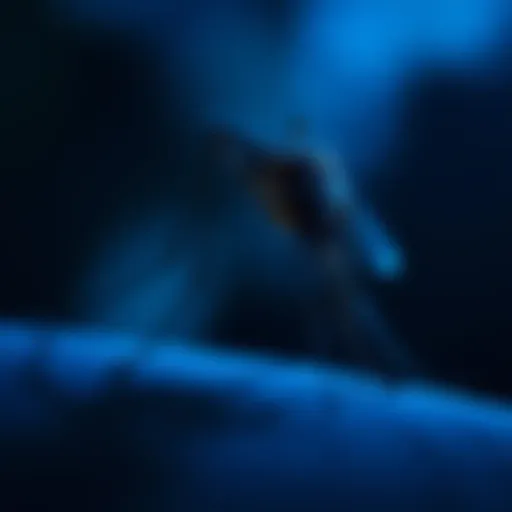 The Role of Blue Light in Mosquito Behavior and Control Introduction