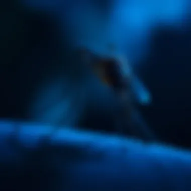 The Role of Blue Light in Mosquito Behavior and Control Introduction The Role of Blue Light in Mosquito Behavior and Control Introduction