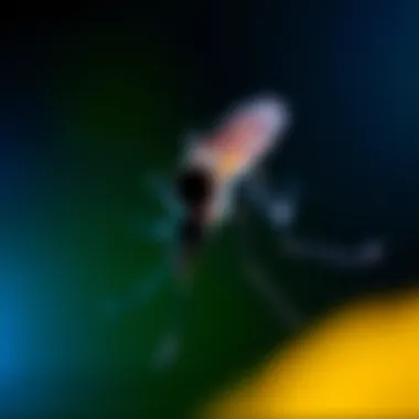 The Role of Blue Light in Mosquito Behavior and Control Summary The Role of Blue Light in Mosquito Behavior and Control Summary