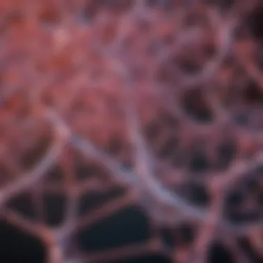 Molecular Structure of Collagen Fibers Molecular structure of collagen fibers