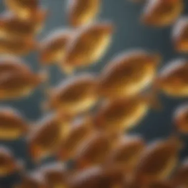 Omega-3 Fatty Acids in Fish Oil Close-up of fish oil capsules highlighting omega-3 fatty acids
