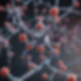 Illustration depicting the biochemical structure of GABRP antibodies