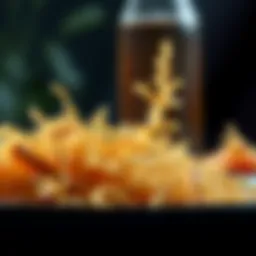 The Role of Lactobacillus Gasseri in Food: Implications for Health and Nutrition Introduction