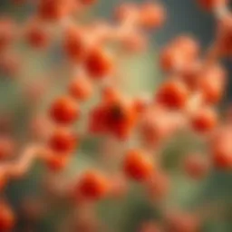 A visual representation of vitamin A molecular structure.