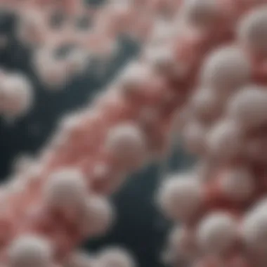Link Between White Blood Cells and Colon Cancer Diagram showing the connection between white blood cells and colon cancer