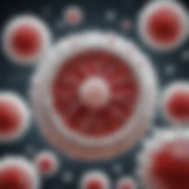 Illustration depicting the immune response mechanism