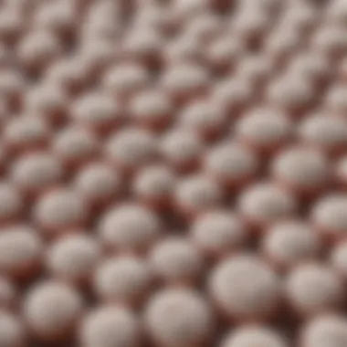 Microscopic Examination of Stool Samples Microscopic view of stool sample highlighting white blood cells