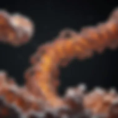 Protein Dynamics: Folding and Interactions Protein dynamics illustrating folding and interactions
