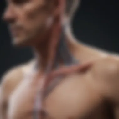 Symptoms of Thoracic Spine Tumors Diagram showing symptoms associated with thoracic spine tumors