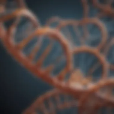 The Mechanism of Transcription: From DNA to RNA Illustration of DNA transcription process
