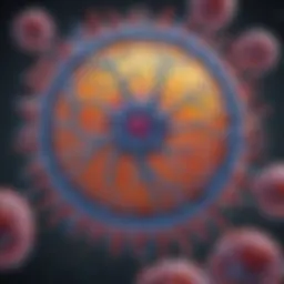 Visualization of transient protein expression in eukaryotic cells.