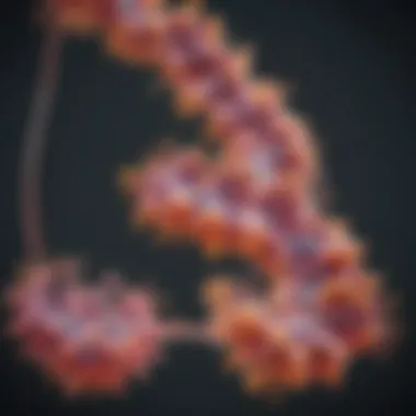 Ribosomal Activity: Translating RNA into Protein Diagram illustrating ribosome function in translation