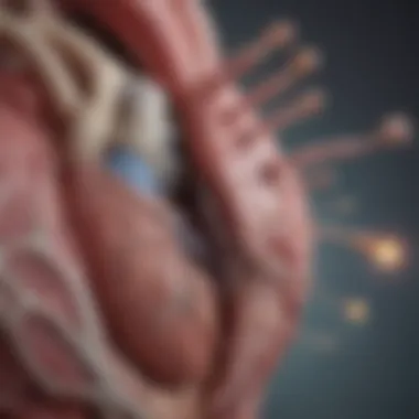 Treatment Strategies for Calcified Heart Valves Visual representation of various treatment options for calcified heart valves, both surgical and non-surgical.