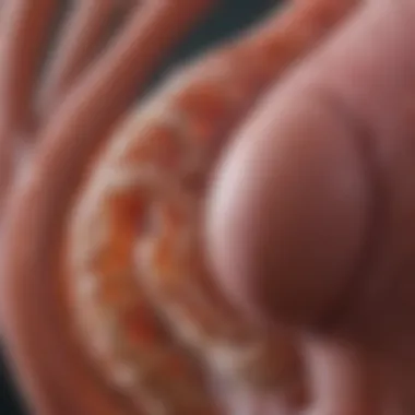Recent Research and Treatment Advancements Research findings on treatment options and advancements in tubular kidney disease