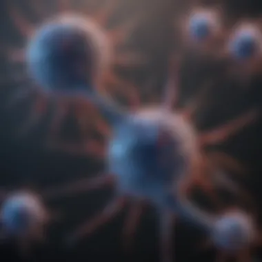 Graph depicting the role of Tuj antibodies in neuronal development