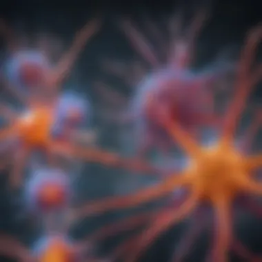 Imaging Neuronal Cells with Tuj Antibodies Microscopic imaging of neuronal cells labeled with Tuj antibodies