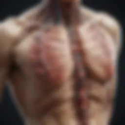 Illustration of various types of thoracic spine tumors
