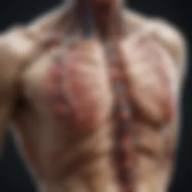 Types of Tumors in the Thoracic Spine Illustration of various types of thoracic spine tumors