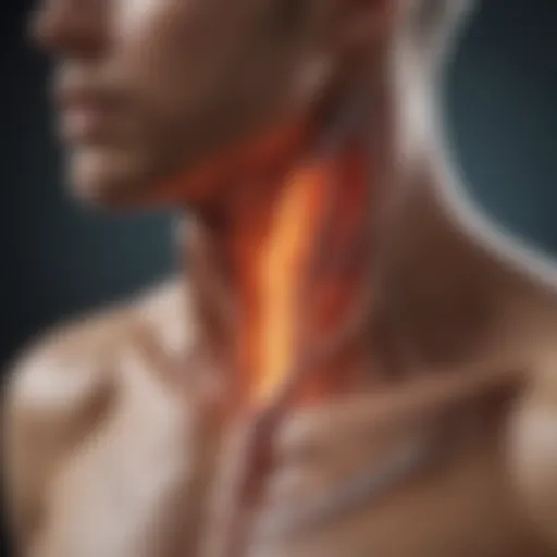 Detailed diagram illustrating adrenal gland structure and hormone pathways