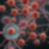 A molecular representation of leukemia cells under a microscope